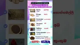එදිනෙදා කතාවට ඉංග්&zwj;රීසි | Daily Use English 📚💥 #english #dailyenglish #englishvocabulary #foryou