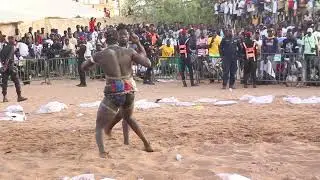 Grand combat Serigne cheikh Niang promoteur de la jeunesse