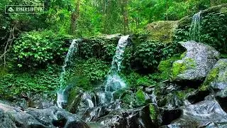 River Sounds for Sleeping All Night | Calm Natural Water Flow White Noise for Rest