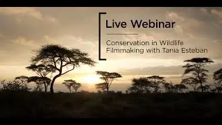 Live Webinar | Conservation in Wildlife Filmmaking with Tania Esteban