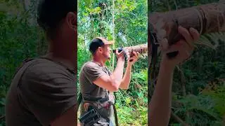 Bird Photography GEAR Tips! COSTA RICA!! #costarica #wildlifephotography #costaricawildlife #nature