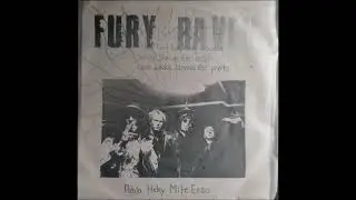 Fury Raven Harry the Hustler