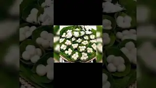 Khmer Traditional Dessert #yummy #dessert #khmerdessert #short