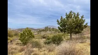 Remarkable 13.75 Acre Julian Property For Sale!