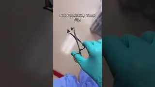 These are all basic single name surgical instruments. Easy to remember #surgicaltechnologist #scrub