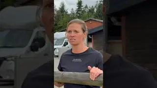 Pferdehofliebe - Blindes Pferd 😳 #pferdehofliebe #equestrian #shorts #viral #horse #fyp #pferd
