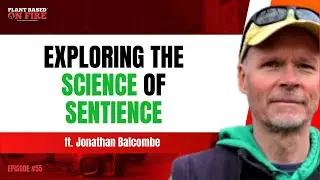 Exploring the Science of Sentience ft. Jonathan Balcombe