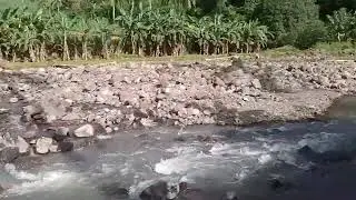 Distraction in Manjuyod part 2 #flodcontrol #viral 