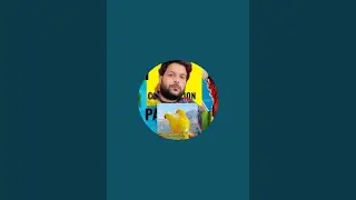 my parrot 9720 is live