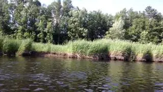 Drifting Down the Mississippi
