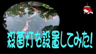 殺菌灯を設置してみた！