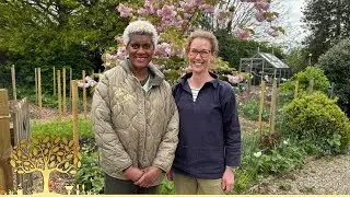 Gardeners&rsquo; World 2025 Ep11 | Jewel Garden Glow-Up, Grown Not Flown & Bee Life at Home
