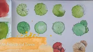 Top View Tree Drawing for Architectural Plans | Watercolor Tutorial