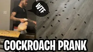 COCKROACH PRANK ON BOYFRIEND