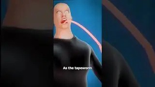 Что такое ленточный червь? 😨