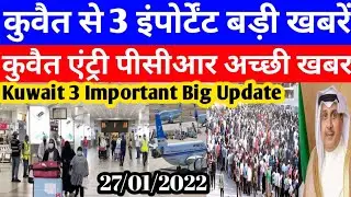 Kuwait Today 3 Important Update Big Breaking News | Kuwait Today Entry PCR Good News