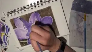 Crocus - time lapse