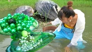 😱 The Miraculous Discovery: How a Poor Girl Unearthed a Diamond Pearl and Changed Her Life