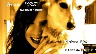 ONE / U2 ~&hearts;~ ( cover by Mark J. Campayno / MarkGTR) - To Animals - Aneema