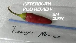 Targu Mures (Refining Fire Chiles) | Afterburn Pod Review