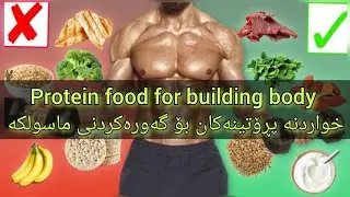 protein food for building muscles خواردنە پڕۆتینەکان بۆ گەورەکردنی ماسولکە