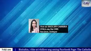 Hindi pa makompirma kung postibo sa African Swine Fever ang mga namatay na baboy sa Hamtic, Antique