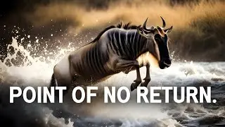 Wildebeest River Crossing Chaos | The Deadliest Moment of the Great Migration