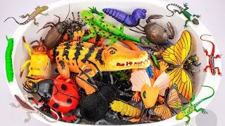 Ultimate ZURU Robo Alive Insects Aquarium ASMR 🦎 Crocodile, Butterfly, Spider, Worm (No Talking)
