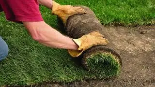 How to Create Curb Appeal from Sell & Dwell