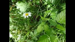 Fragility and Hope