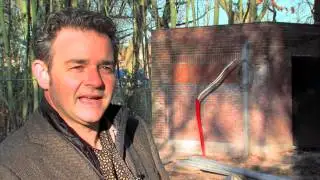 Een spouwmuur isoleren met Insulsafe Wall.