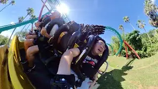 Kumba (360 Camera POV) - Busch Gardens Tampa Bay 2022