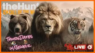 🏮OMR LIVE!🏮 | G1 Black Bear Down S3 | Lions, Tigers, Bears | theHunter Call of the Wild | the Hunter