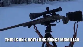 How to Pick a Predator Hunting Rifle