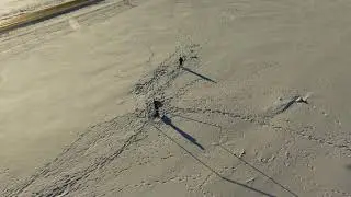 Parrot Disco Play Time near SW Edmonton.