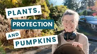 Готовимся к осени + Наш первый Хэллоуин в новом доме 🎃 [эп.13]
