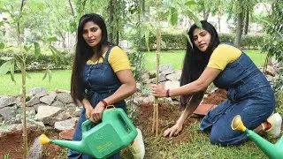 Naked Movie Actress Sri Rapaka Accepts Green India Challenge | Silver Screen