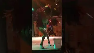 Circle of life meets rio carnival