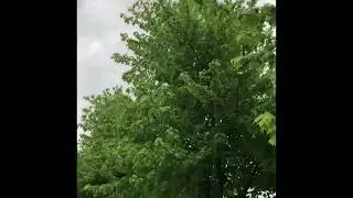 Asmr  evening walk  in beautiful weather