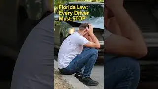 Florida Law says Stay at the Scene of a Crash &ndash; ROAD RULES Video for Teens and All Drivers