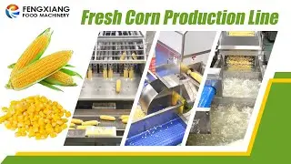 Sweet Corn Peeling Shelling Washing and Air Drying Processing Line #cornsheller #cornkernels