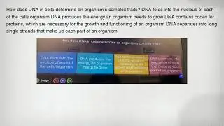 How does DNA in cells determine an organism's complex traits? DNA folds into the nucleus of each of