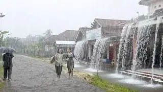 Best nature rain sounds for sleeping or healing | very comfort and relaxing. Walk in The Morning