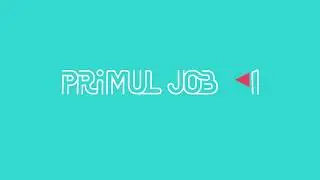 Primul job: caută jobul ideal!