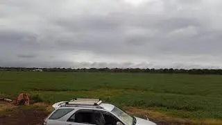 alfalfa with Pivot irrigation