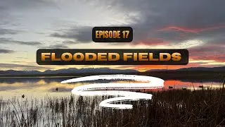 HUNTING FLOODED FIELDS