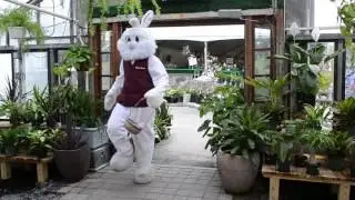 Wilson Farm Easter Bunny 2017