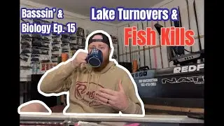 Bassin' and Biology Ep. 15 Fall Lake Turnovers and Fish Kills