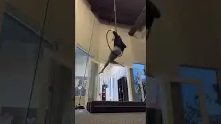 Aerial Hoop- Rolling Around 2/20/22