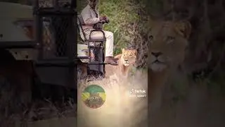 Ethiopia meme video very funny meme video